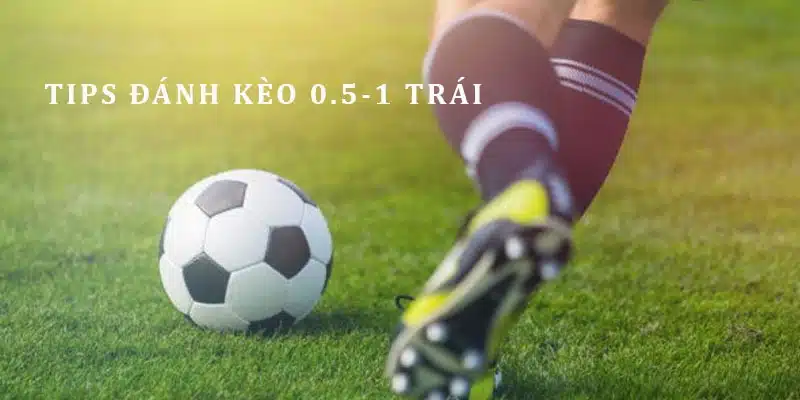 Mẹo chơi kèo 0.5-1 trái thành công nhất